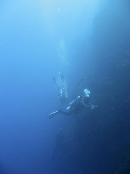 Filipíny ostrov bohol diveres potápění - Fotografie, Obrázek