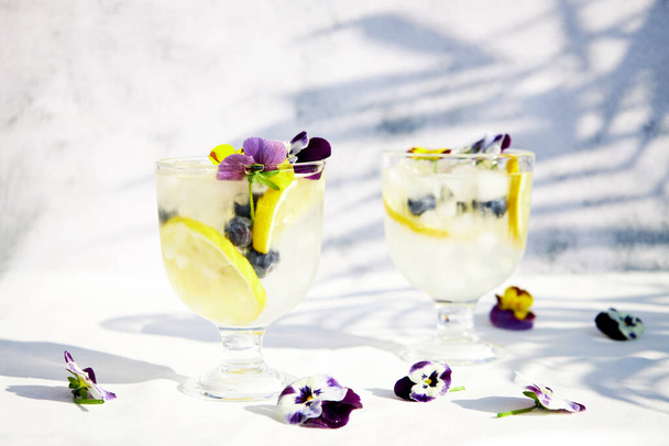 Hideg limonádé citrusfélékkel és ehető virágokkal. Menő, egészséges nyári italok és koktélok. Méregtelenítő víz.  - Fotó, kép