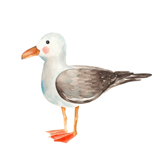Cute watercolor seagull isolated on white background. Hand drawn illustration. Design element for cards, prints. - Fotó, kép
