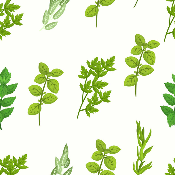 Seamless Pattern with Culinary Herbs Consisting Of Various Aromatic Plants Used For Cooking, Such As Basil, Thyme, Rosemary, And Oregano, Mint, Marjoram, Summer Savory. Cartoon Vector Illustration - Vettoriali, immagini