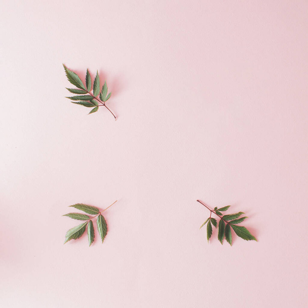 Creative minimal arrangement of leaves on bright pink background. Flat lay frame. Nature concept. - Foto, afbeelding