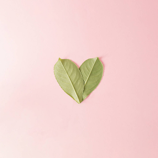 Two green leaves from the back in a heart shape on bright pink background. Flat lay - Foto, imagen
