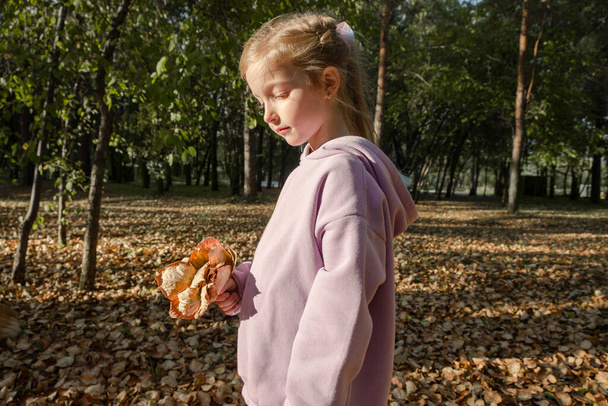 Joyful pretty young happy blond girl with a bouquet of autumn leaves in park. Cheerful girl likes to walk outdoors. Fall season. Great weekend - Photo, Image