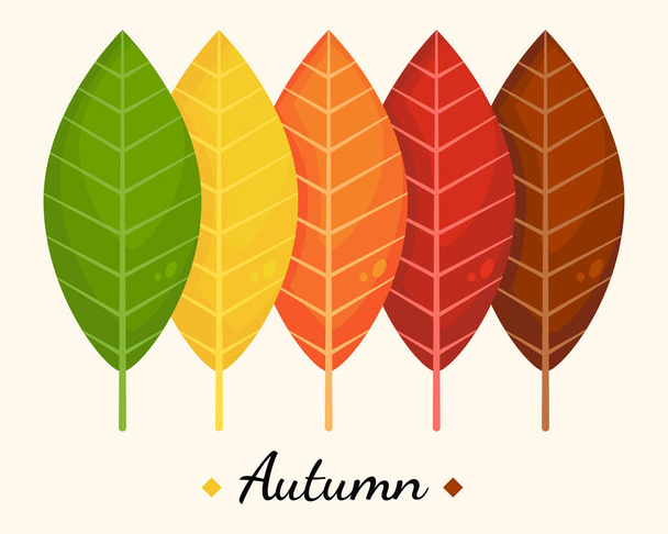 set of different autumn leaves  - Vector, Imagen