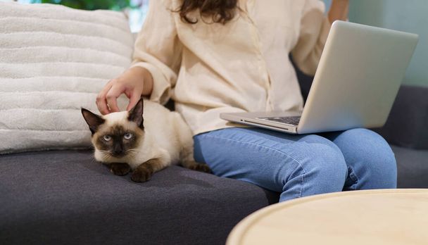 mujer trabajando desde casa con gato. gato dormido en el teclado portátil. asistente de gato trabajando en Laptop. - Foto, imagen