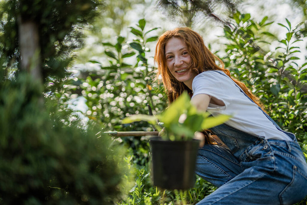 Front view shot of smiley ginger botanist in the garden - Фото, изображение