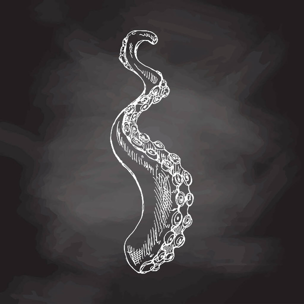 Hand drawn white sketch of octopus tentacle. Vector aquatic monochrome  illustration isolated on chalkboard  background.	  - Vector, Image