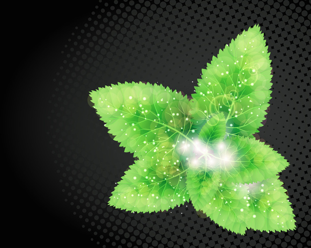 Green leaves abstract background. - Vector, Image