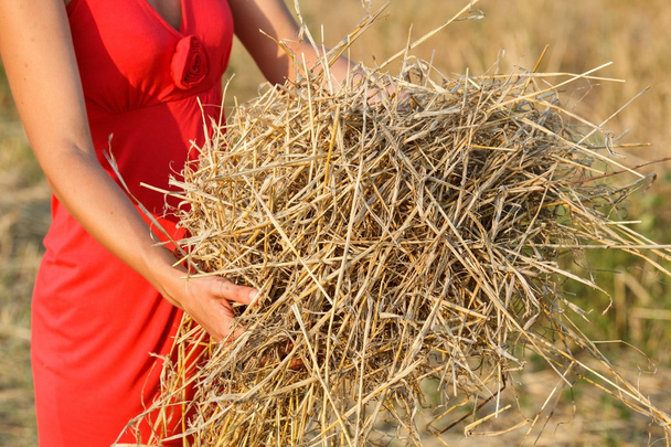 Hay bales on the field after harvest in hand - Photo, Image