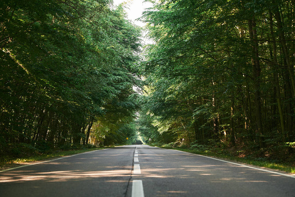 Estrada de asfalto vazia na floresta. Explorando a beleza da natureza em um passeio de verão. Estrada florestal em um dia de verão. - Foto, Imagem
