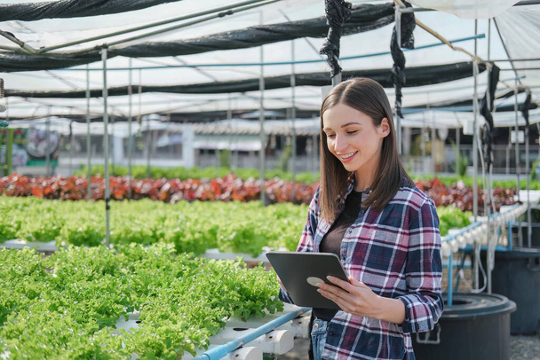 Greenhouse, agriculture and woman with vegetables growth checklist, agro business development and portrait. gardening and sustainability person with portfolio for inspection and smile. - Photo, Image