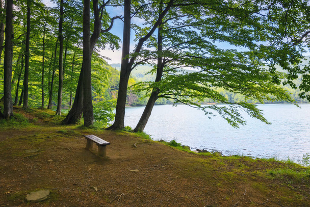 lake in vihorlat mountains, slovakia. vacation season in summer. bright sunny day - 写真・画像