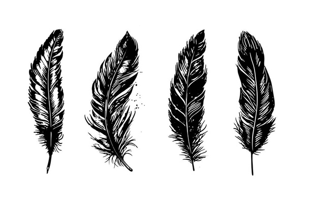 Feather Dessiné à la main, dessin à la ligne noir sur fond blanc - Vecteur, image