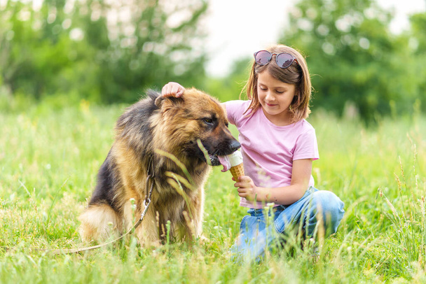 Cute little girl feeding a shepherd dog ice cream while sitting on the grass in the park in summer. High quality photo, blurred background - Foto, immagini