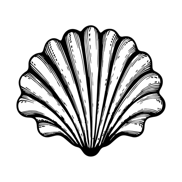Illustration of sea shell in engraving style. Vector. - Vector, Imagen