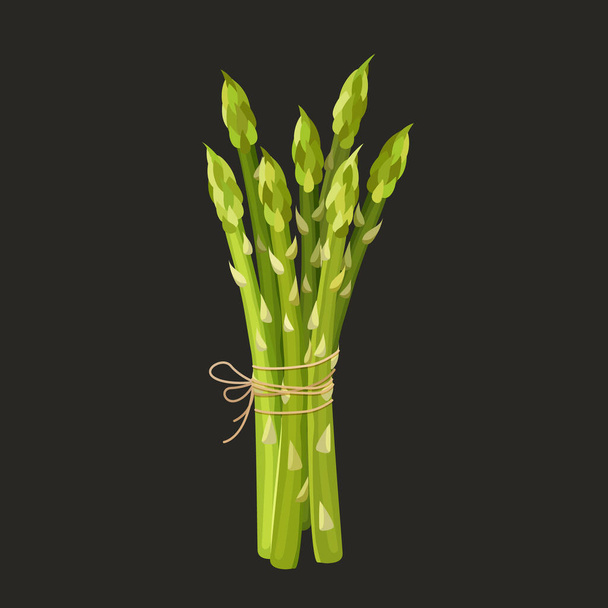 Vector illustration of a fresh bunch of asparagus - Διάνυσμα, εικόνα