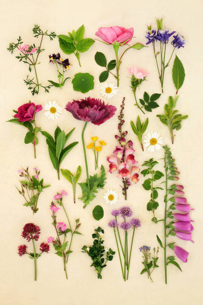 Flores de verano europeas y hierbas utilizadas en la medicina herbal natural alternativa. Arreglo floral sobre fondo de papel de cáñamo. Colección grande. - Foto, imagen