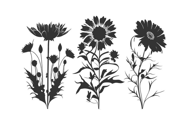 Три чорні силуети квітів. Векторний дизайн ілюстрації
. - Вектор, зображення