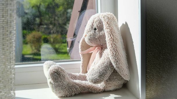 Bébé mignon lapin jouet assis sur le rebord de la fenêtre, photo de bébé. Photo de haute qualité - Photo, image