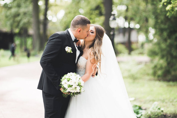 Perfect couple bride, groom posing and kissing in their wedding day. - Foto, afbeelding