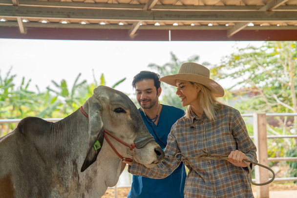 Hermosa mujer agricultora y el veterinario cuidan vaca en granja estable y se ven felices de proceso de trabajo juntos. - Foto, Imagen