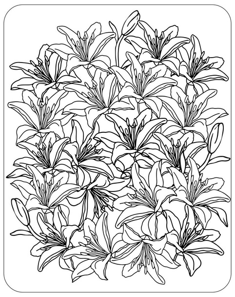 Lily fleur dessinée à la main pour la conception de la page à colorier - Vecteur, image