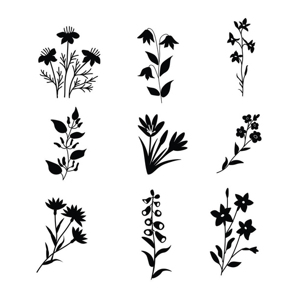 Изолированный цветочный векторный декоративный набор - Вектор,изображение
