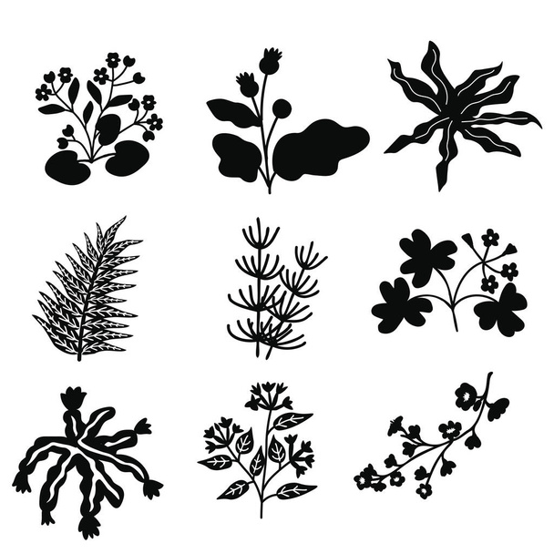 Isolated floral vector decorative set - Vecteur, image