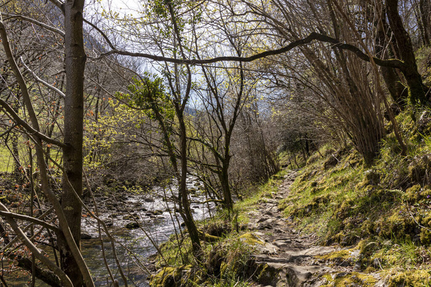 Působivá krása horské řeky v Kantábrii, klidný útěk - Fotografie, Obrázek