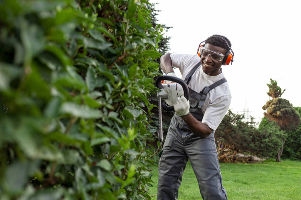 садовий працівник в однорідних кущах, афроамериканський чоловік в окулярах і навушниках працює в саду з садовим електричним інструментом, обрізанням дерев і кущів
 - Фото, зображення