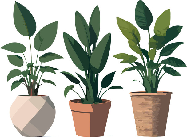 Gorgeous and cuteness plants in flower pot. Vector illustration - Vetor, Imagem