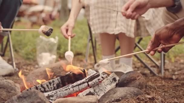 Young multiethnic people sitting together by campfire eating fried marshmallows and chatting - Video