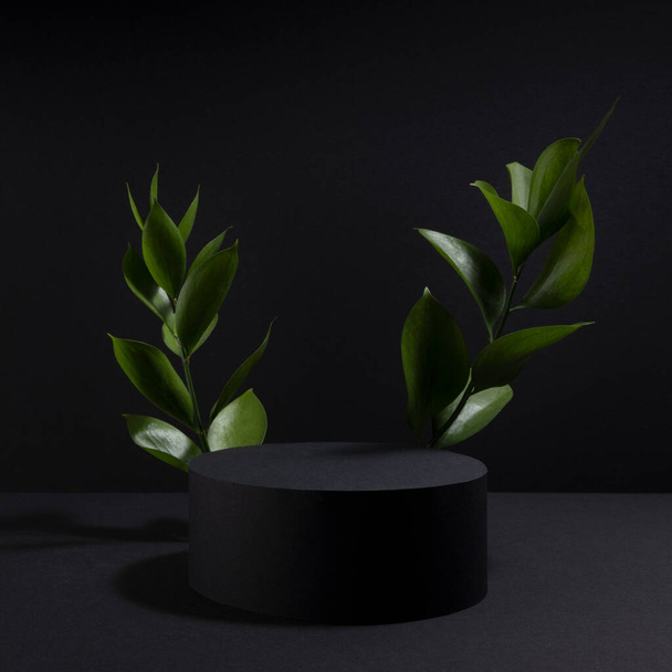 Black abstract stage with one circle podium mockup, tropical green leaves, template for presentation cosmetic products, goods, design, advertising, sale in summer vacation, spa resort style, square. - Foto, afbeelding