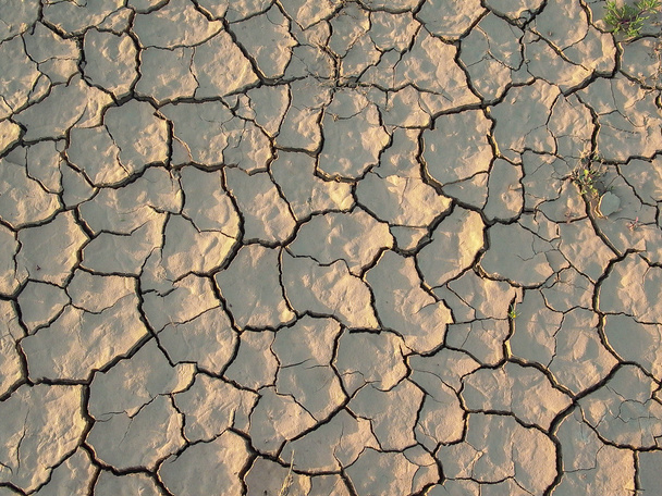 popraskané a sušených země textury  - Fotografie, Obrázek