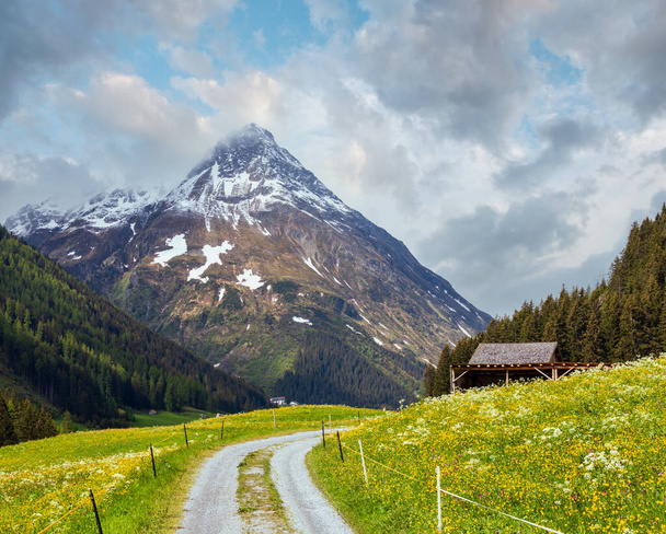Summer mountain landscape with blossoming slope and country road (Silvretta Alps, Austria). - Foto, immagini