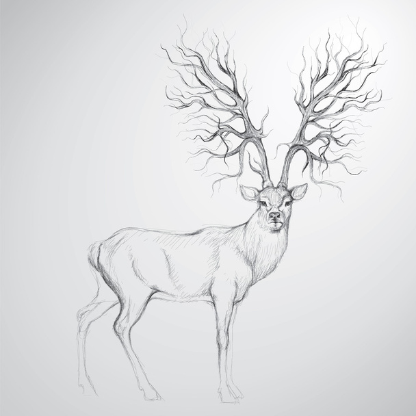 jelen s parohy jako strom - Vektor, obrázek