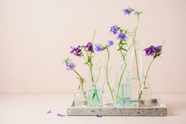 Blue columbine flowers in glass bottles, summer still life. - Photo, Image