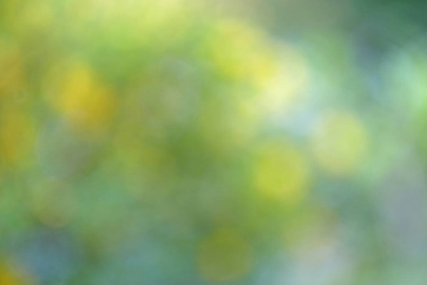 abstract green bokeh nature background - Foto, immagini
