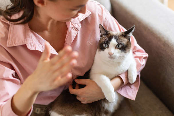 Pet ownership and adoption. Young woman having fun playing and bonding with her cat sitting on sofa at home. Lady enjoying taking care of an adopted domestic animal. Selective focus - Foto, Imagen