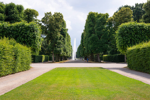 Herrenhausen Φυσικό πάρκο στο Ανόβερο, Γερμανία, διαθέτει πράσινο γρασίδι, λιβάδια, πλούσια τροπική βοτανική βλάστηση, ψηλά δέντρα και μοναδικά αρώματα από τα τροπικά άνθη λουλουδιών. - Φωτογραφία, εικόνα