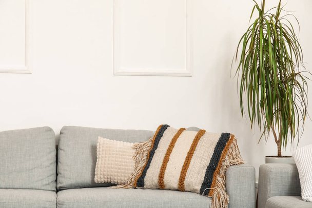 リビングルームの柔らかいクッションと観葉植物と居心地の良い灰色のソファ、クローズアップ - 写真・画像