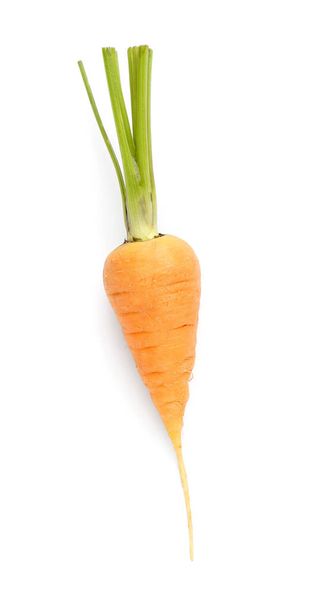 φρέσκο καρότο σε λευκό φόντο - Φωτογραφία, εικόνα
