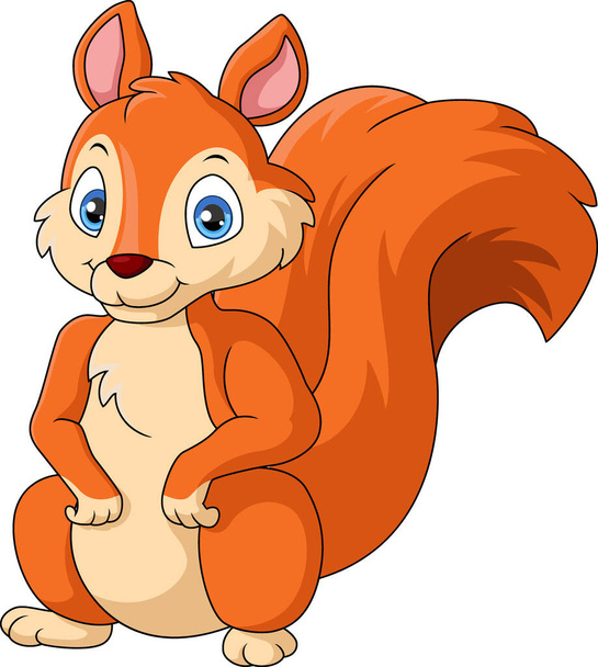 Vector illustration of Cute squirrel cartoon on white background - Vector, imagen