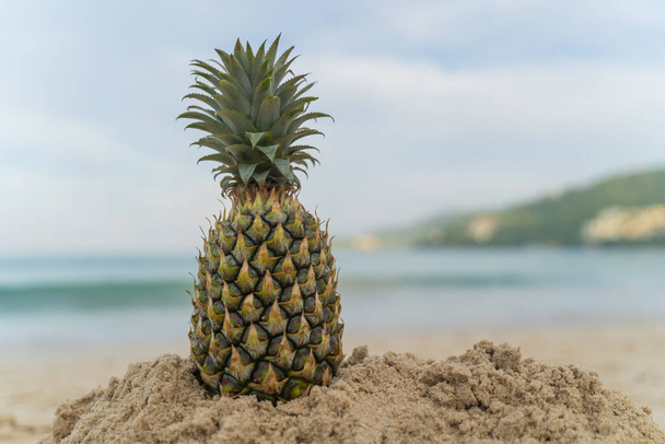 Obstmensch aus Ananas am Strand Fruchttourismus für Gesundheit Lustige und süße sonnenbadende Früchte. Festliches Essen. Sommerreisekonzept. weißer Hintergrund Design Einladung zum Besuch Kopierraum - Foto, Bild