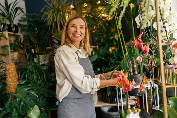 Female florist taking care of houseplant in flower shop. Plant care concept. High quality photo - Zdjęcie, obraz
