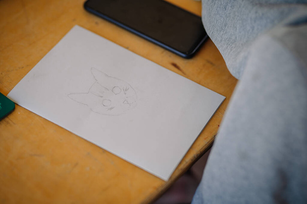 Девушка нарисовала кошачью голову на белой бумаге - Фото, изображение