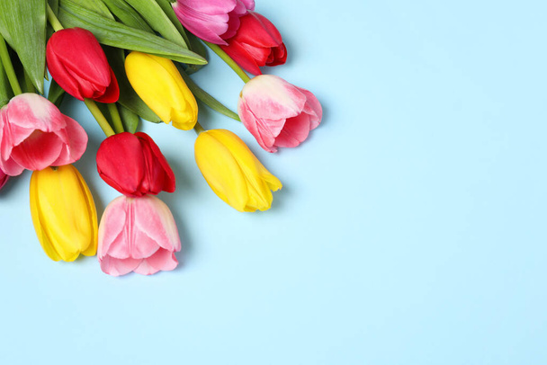 Beautiful colorful tulips on light blue background, space for text - Foto, afbeelding
