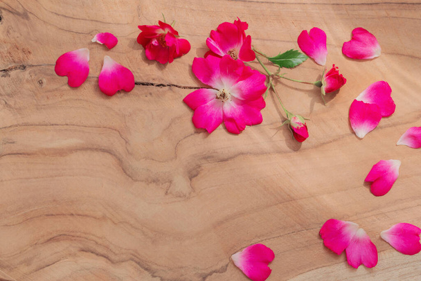 pink petals and roses in sunlight on dark wooden background - Photo, image