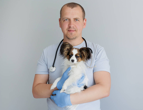 Veterinarian in work uniform with stethoscope holding a small dog in his arms - Fotó, kép