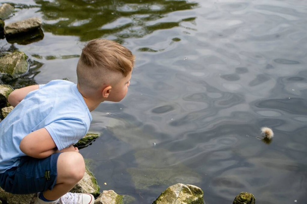 A little boy wearing a blue shirt is playing on a pond with ducks. Vacation resort. High quality photo - Foto, Imagen